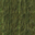 default_jungletree.png