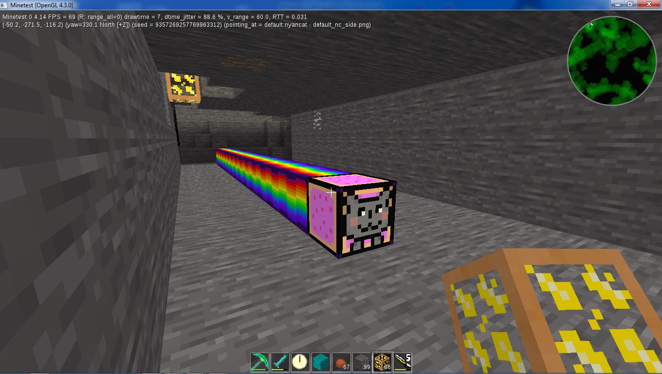 Nyna Cat.jpg